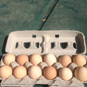 Farm Fresh Eggs